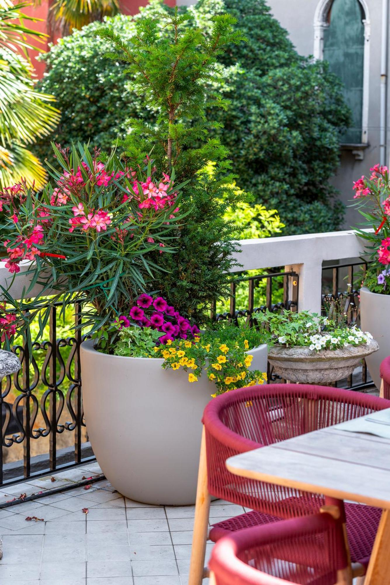 Appartement San Barnaba Palace R&r Venetië